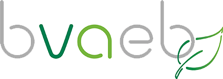 logo-partner-bvaeb